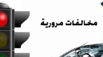شهادة المخالفات.. طريقة سهلة لاستخراجها إلكترونيًا عبر بوابة مرور مصر في دقائق